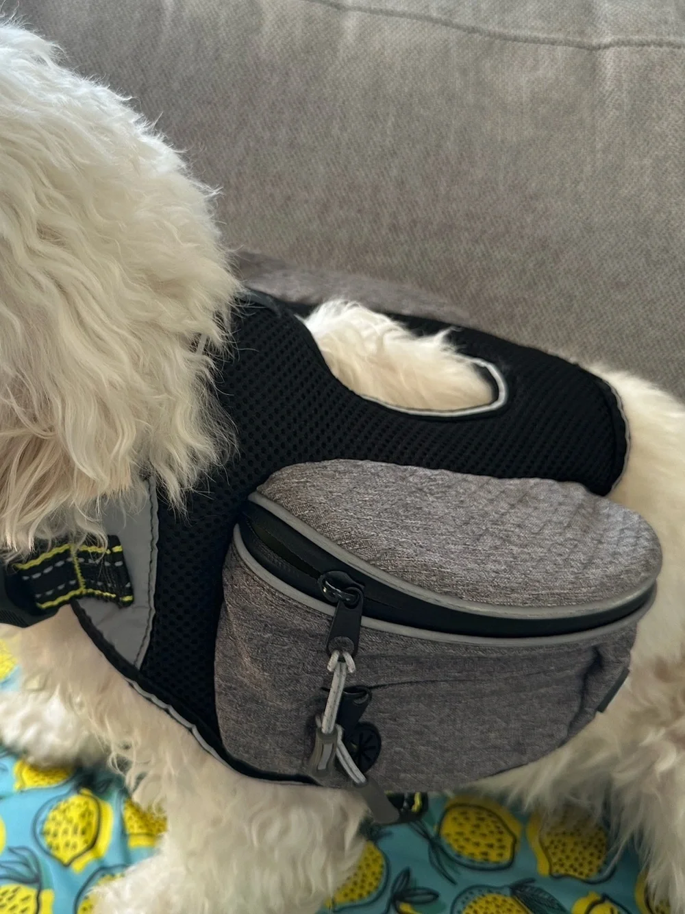 NEW Arcadia Trail Dog Harness Reflective Backpack Mesh lightweight grey S M pet